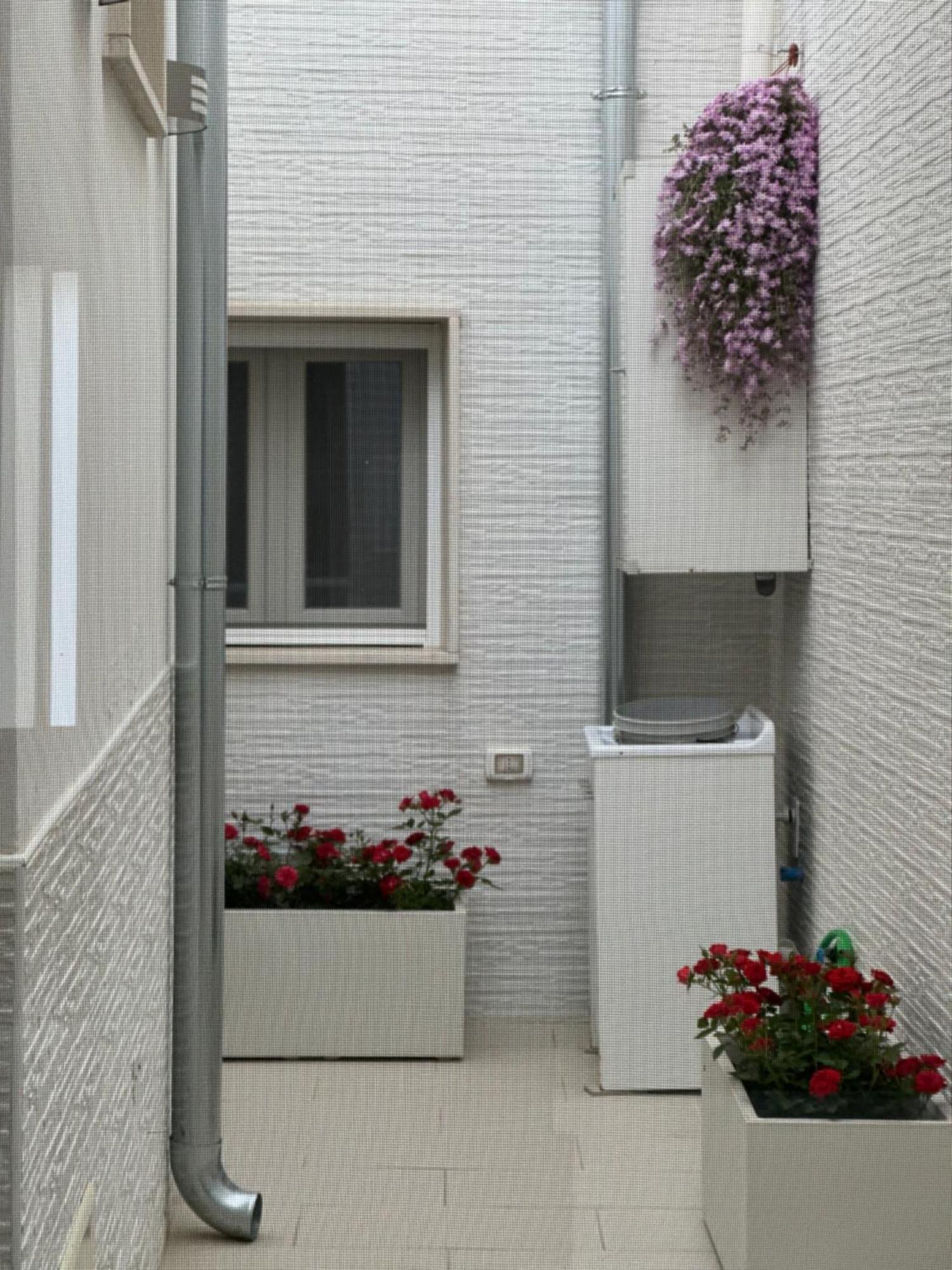 Vila Casa Nobile Squinzano Exteriér fotografie